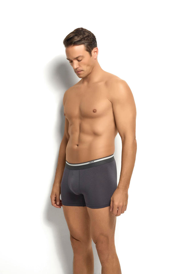 Men's Micromodal Boxer Shorts (3 pack)